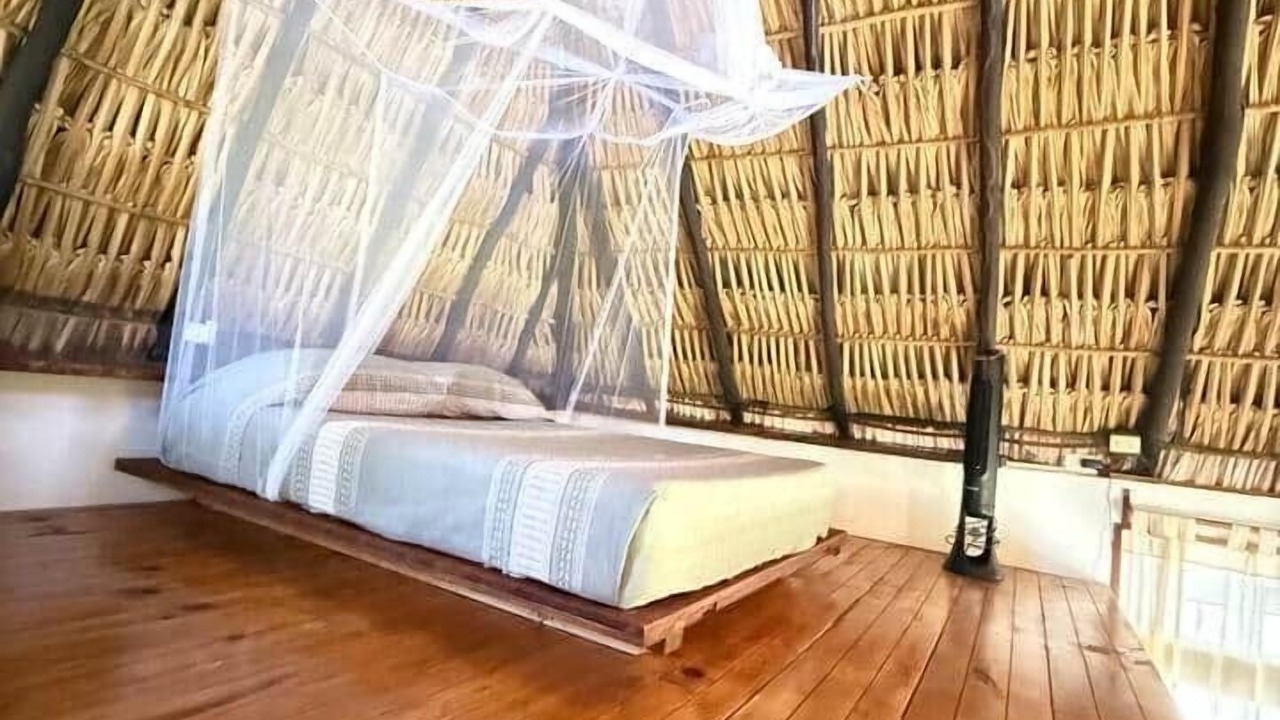 Photo of Bedroom in Mazunte