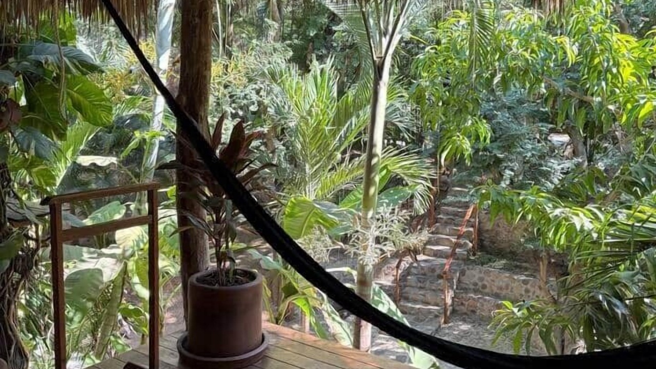 Photo of Outdoor in Mazunte