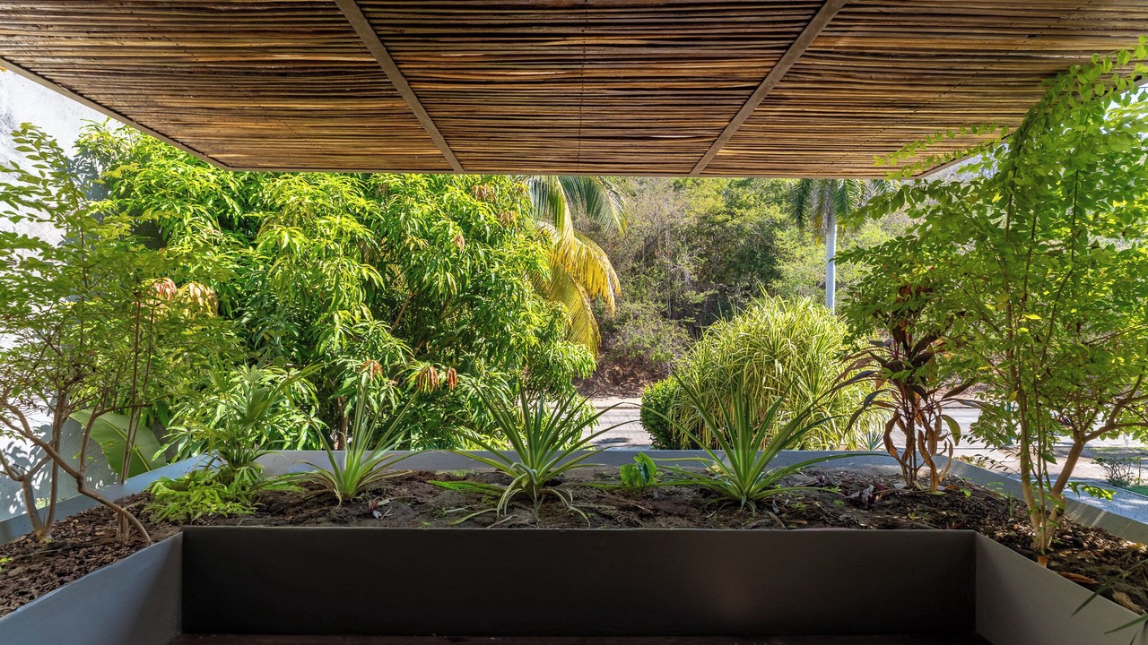 Photo of Outdoor in Crucecita