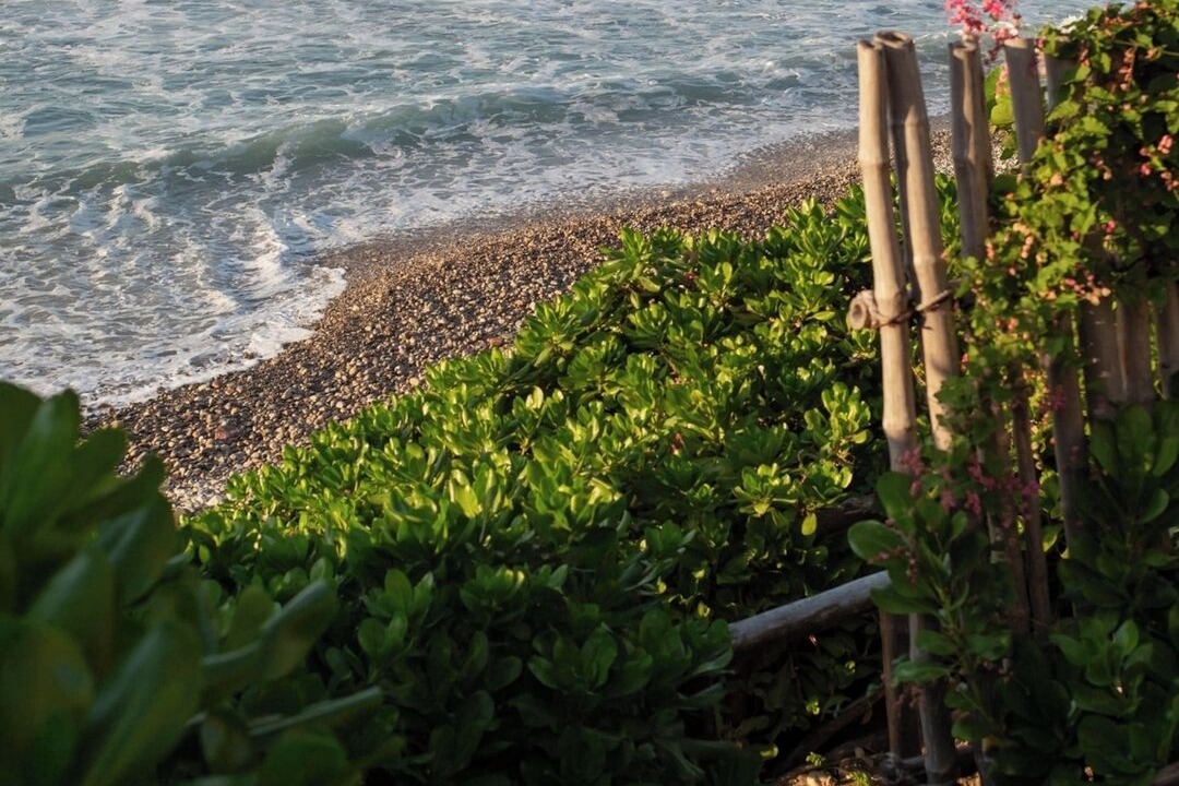 Photo of Others in Punta Negra