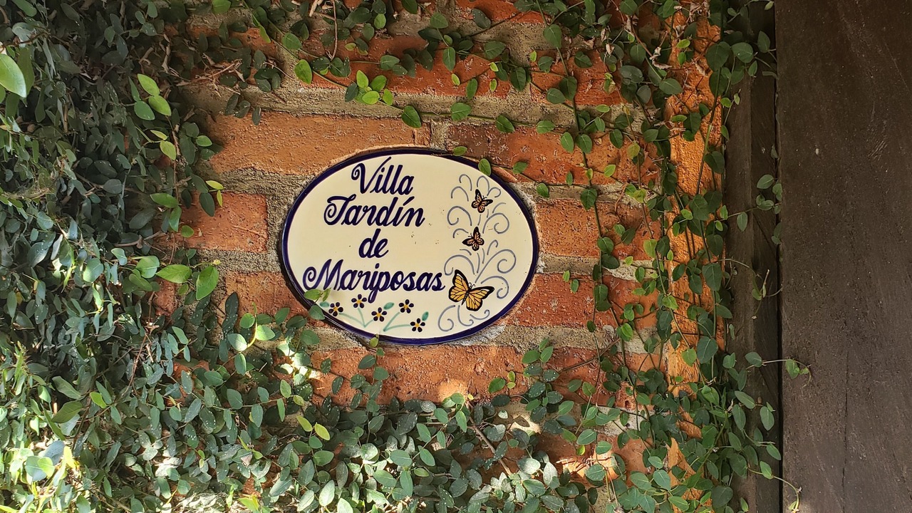 Photo of Outdoor in El Tuito