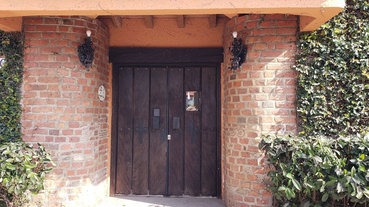 Photo of Outdoor in El Tuito