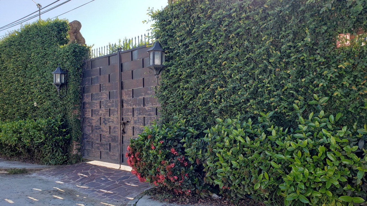 Photo of Outdoor in El Tuito