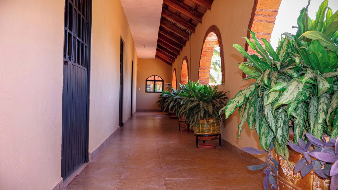 Photo of Outdoor in Santa Cruz