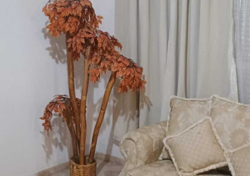 Photo of Livingroom in Torreon