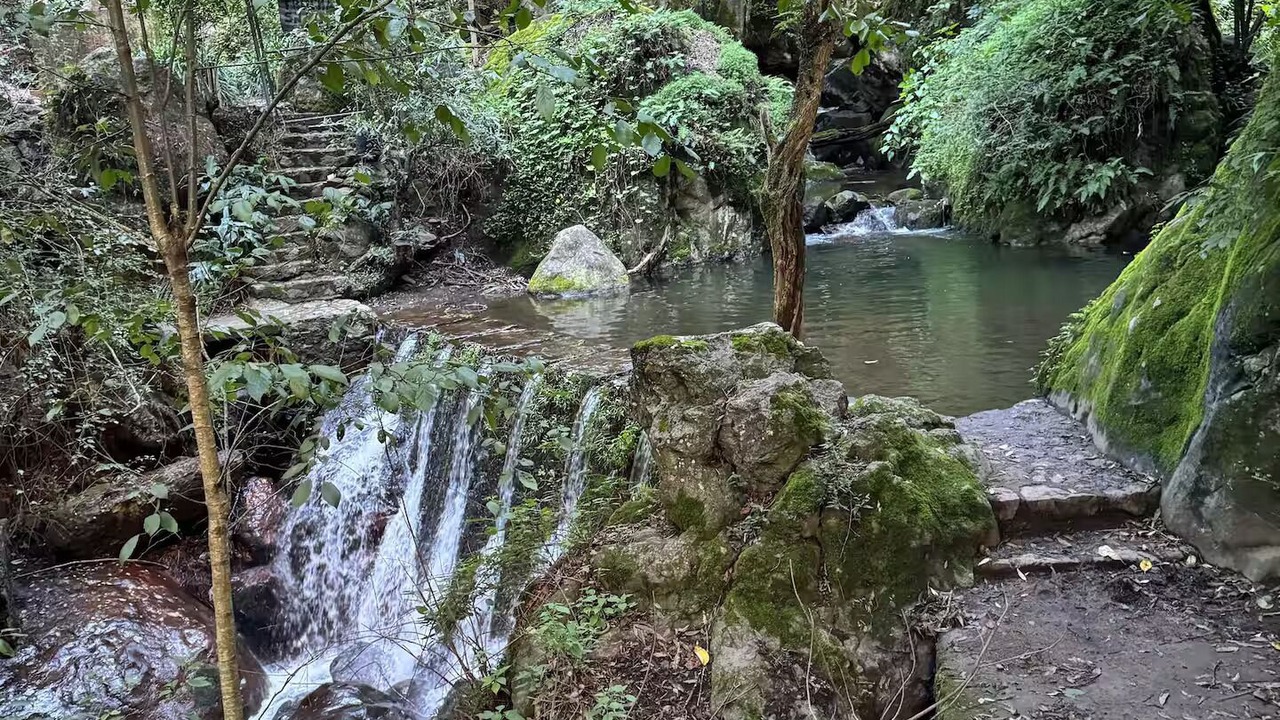 Photo of Others in Mineral del Chico