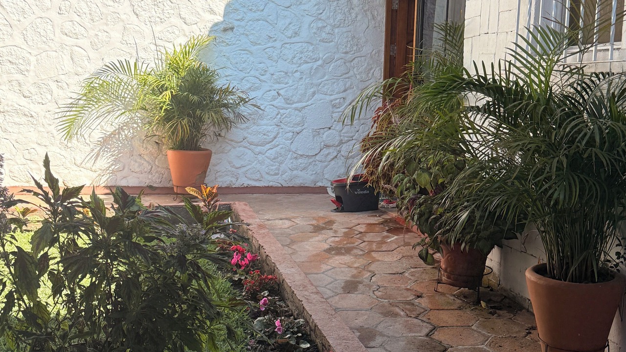 Photo of Outdoor in Cuernavaca