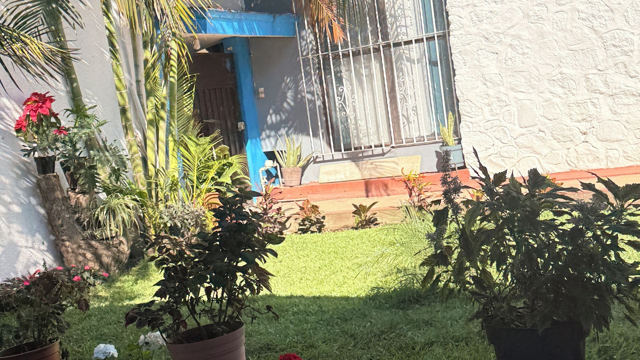 Photo of Outdoor in Cuernavaca