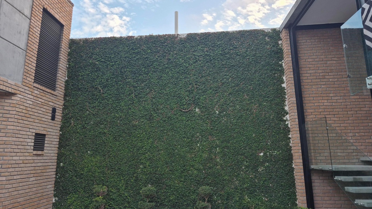 Photo of Outdoor in Matamoros