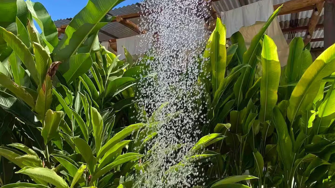 Photo of Outdoor in Monterrico