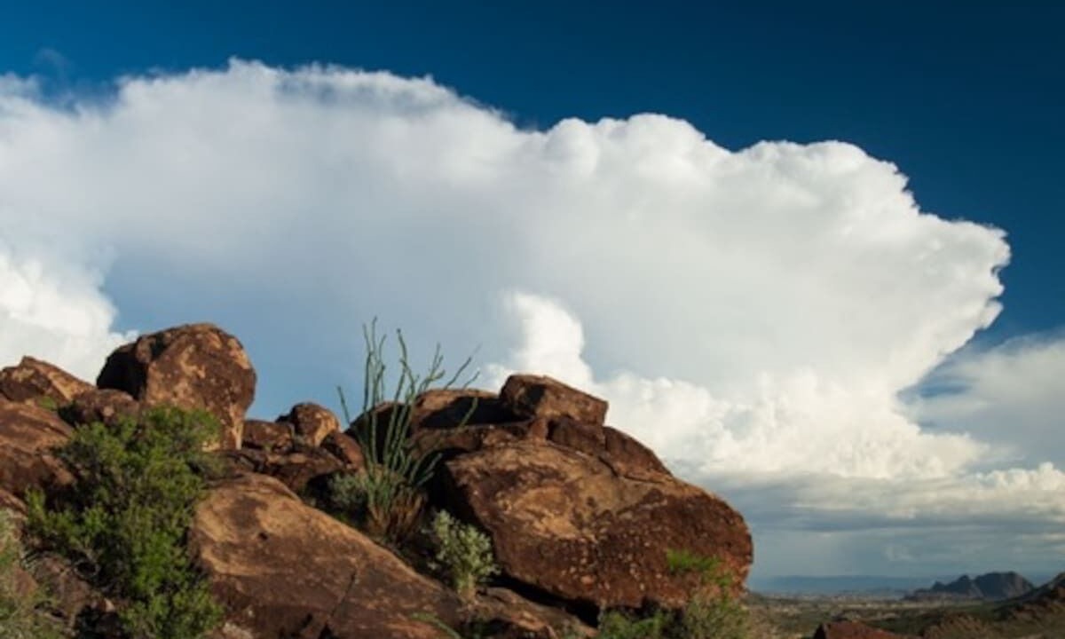 Photo of Others in Terlingua