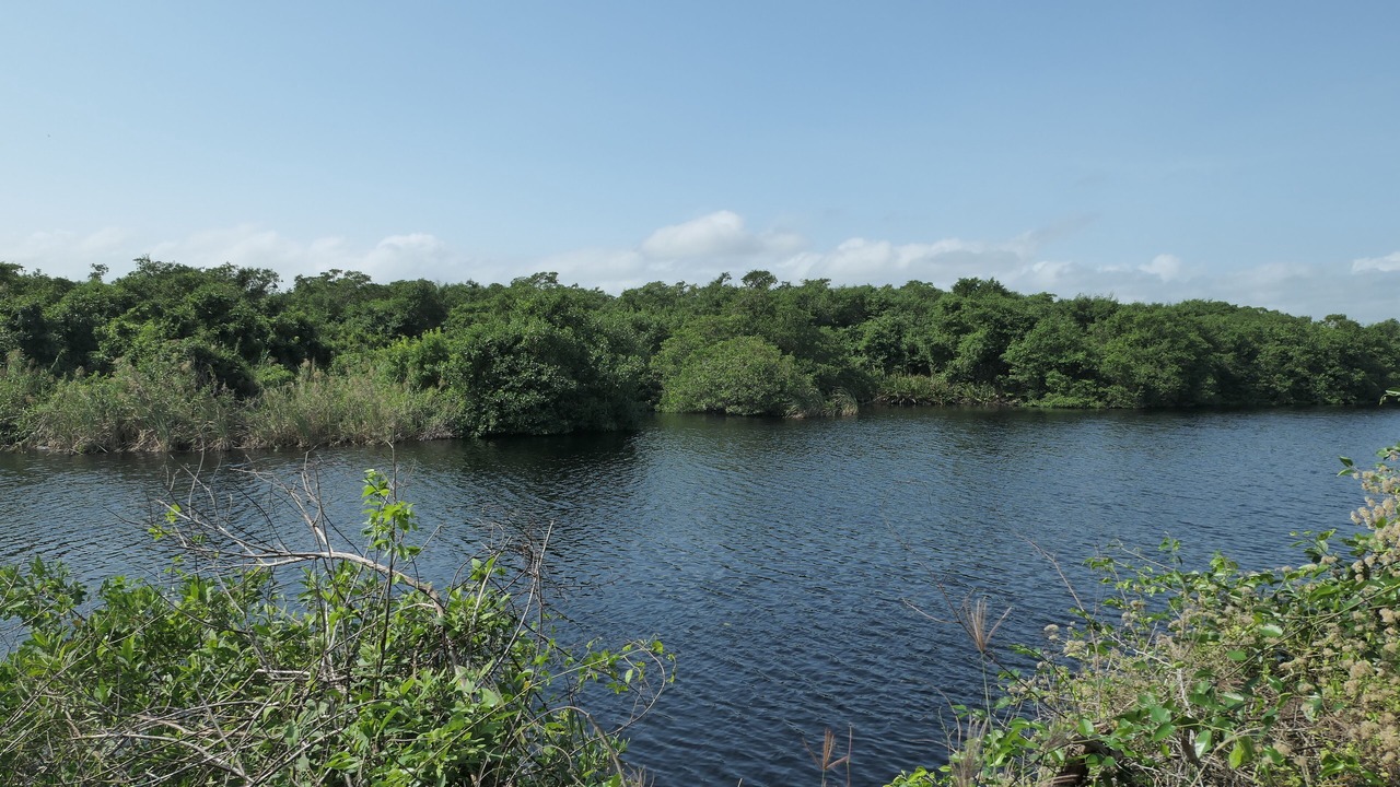 Photo of Others in Tecolutla