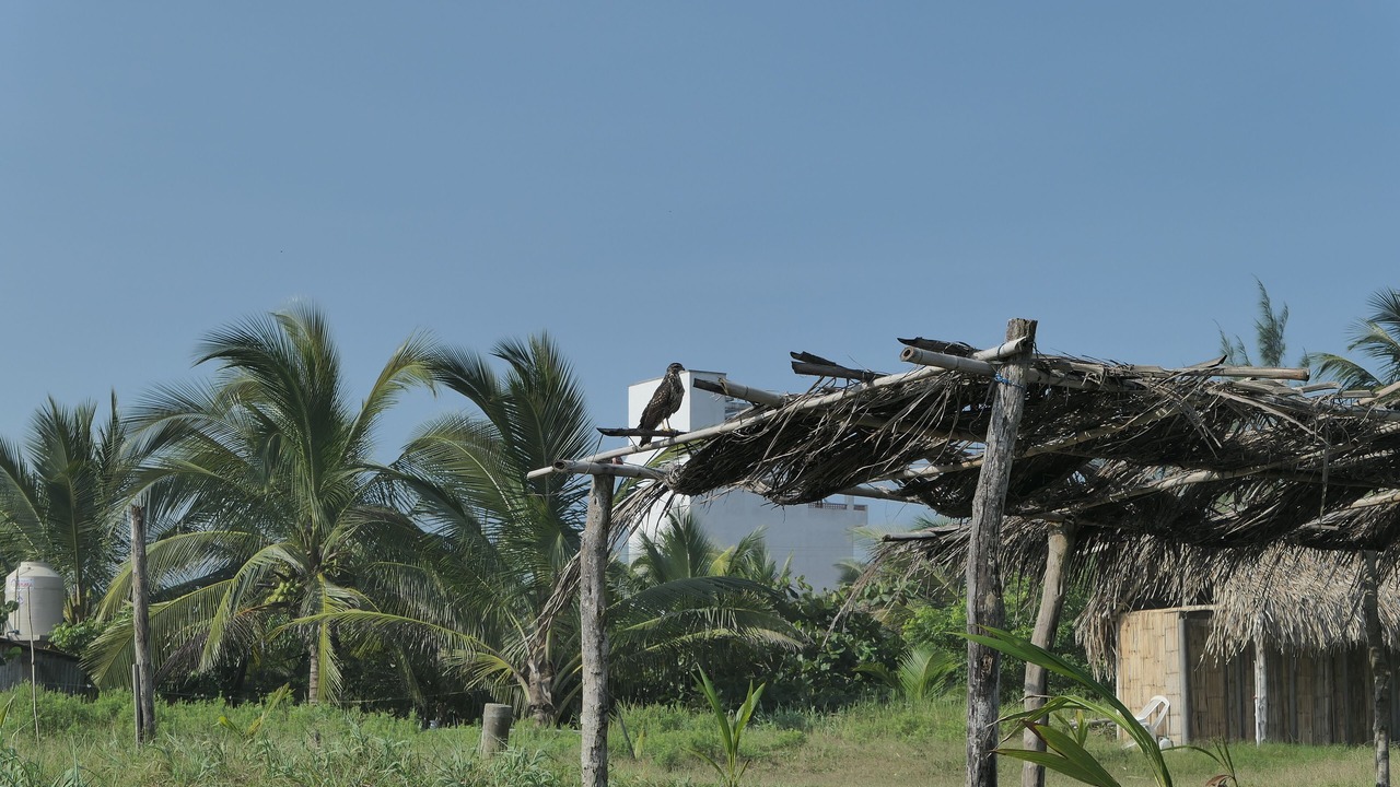 Photo of Others in Tecolutla