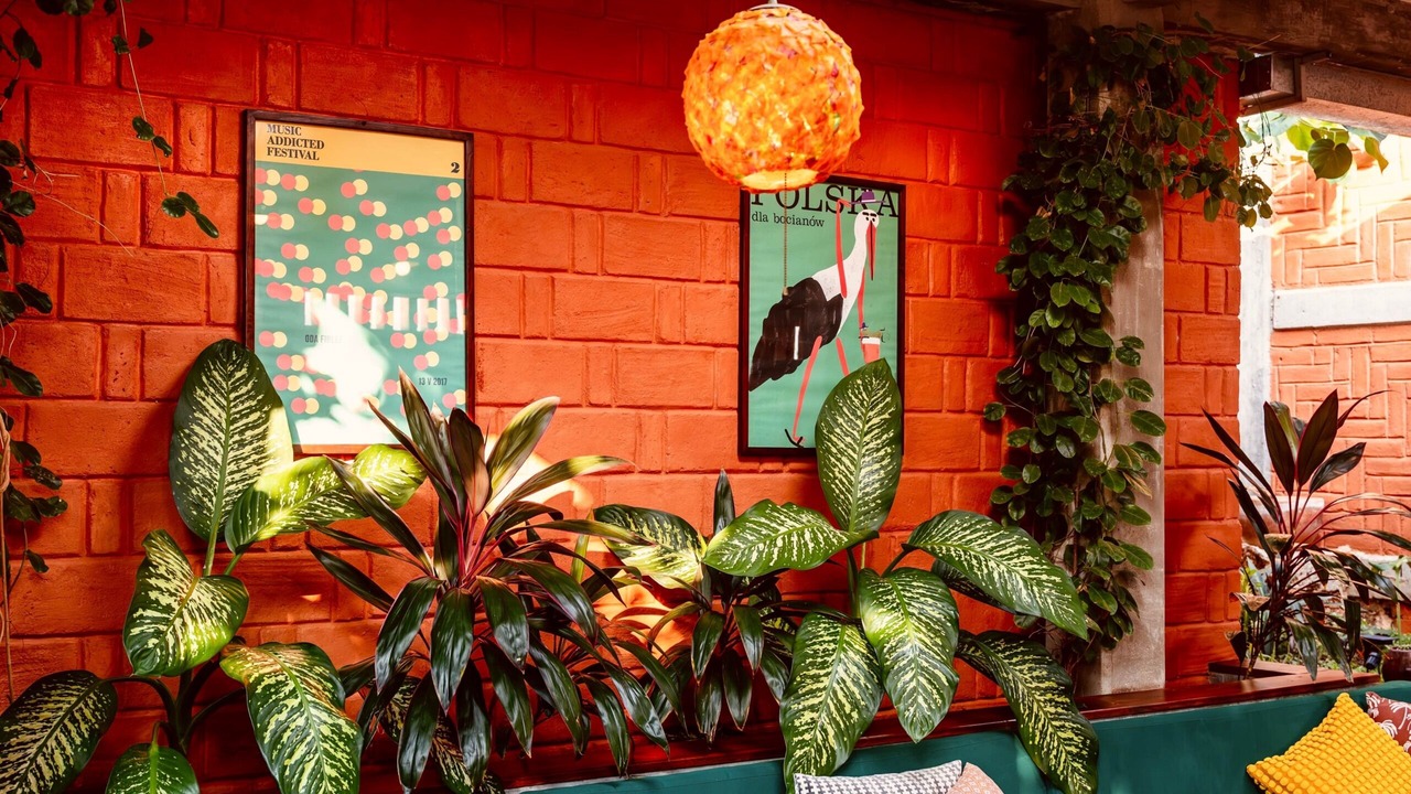 Photo of Livingroom in Puerto Angel
