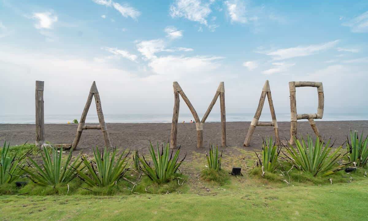 Photo of Others in Monterrico