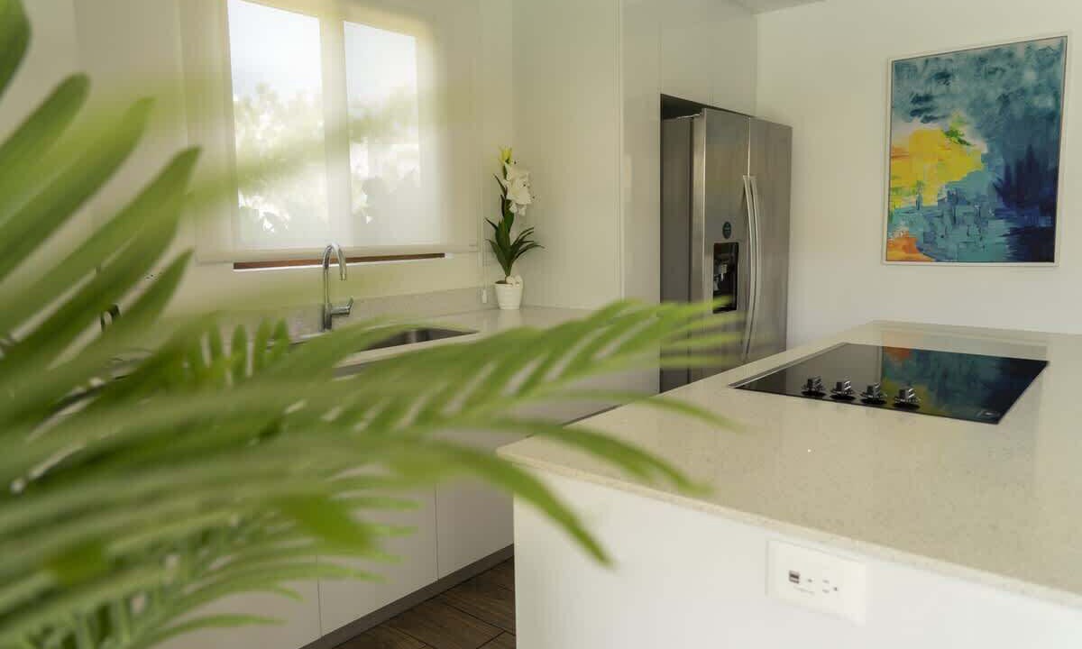Photo of Kitchen in Monterrico