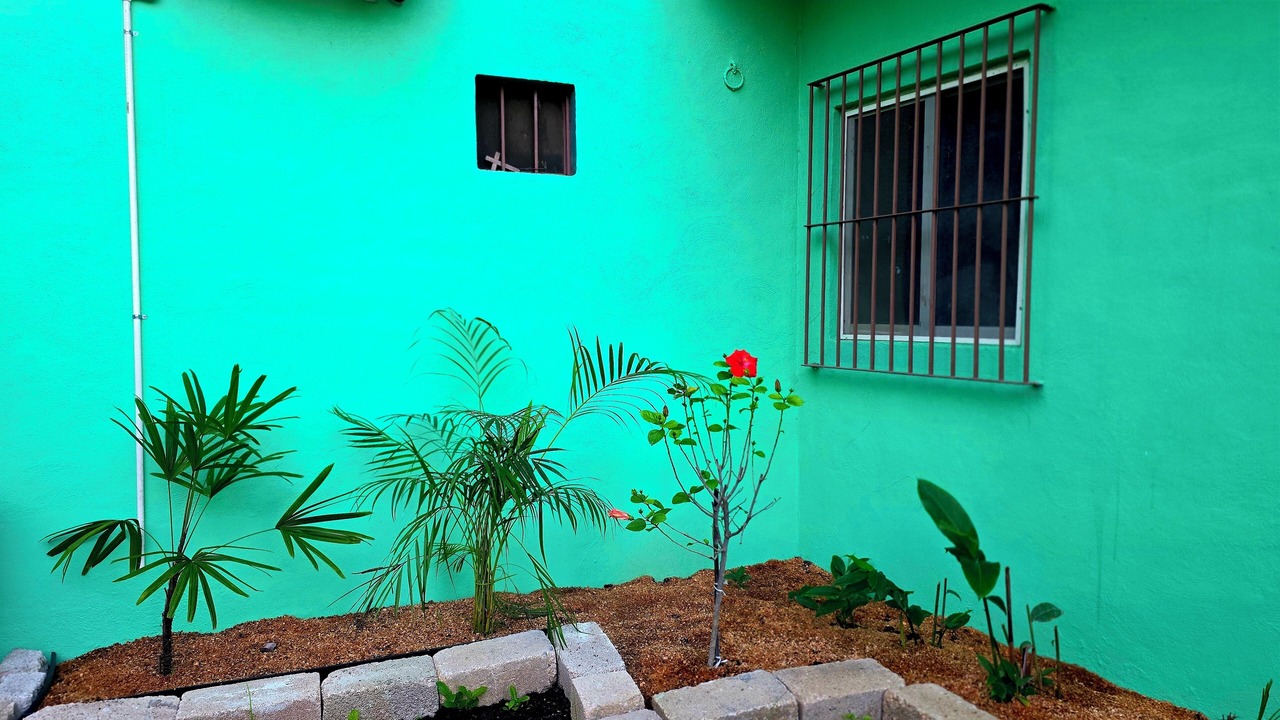 Photo of Outdoor in Higuera Blanca