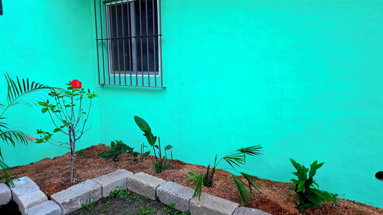 Photo of Outdoor in Higuera Blanca