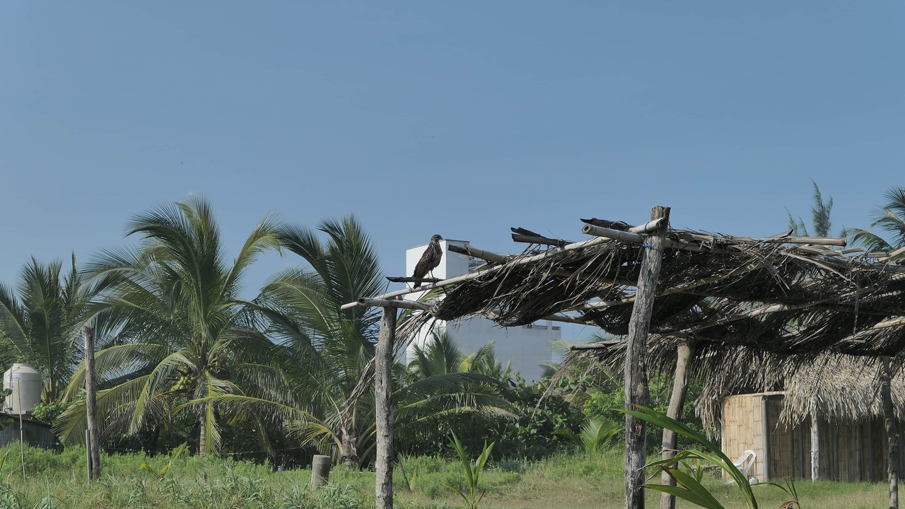 Photo of Others in Tecolutla Municipality
