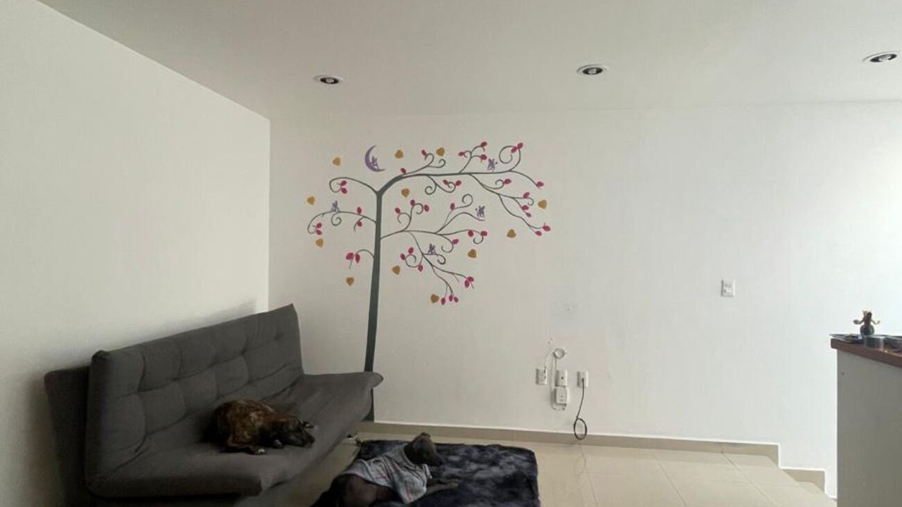 Photo of Livingroom in Queretaro