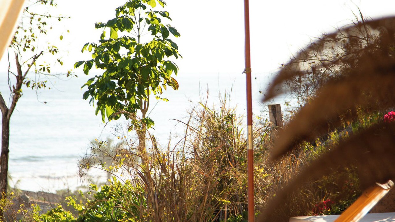 Photo of Outdoor in Troncones
