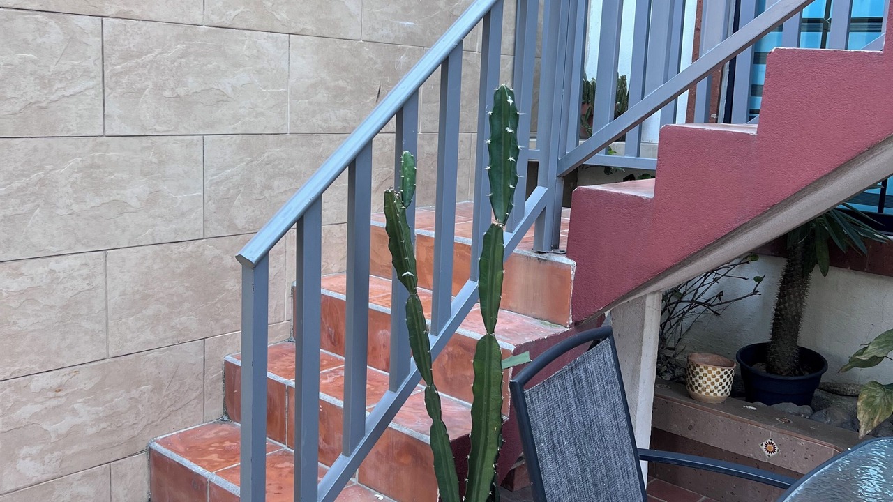 Photo of Others in Guadalupe