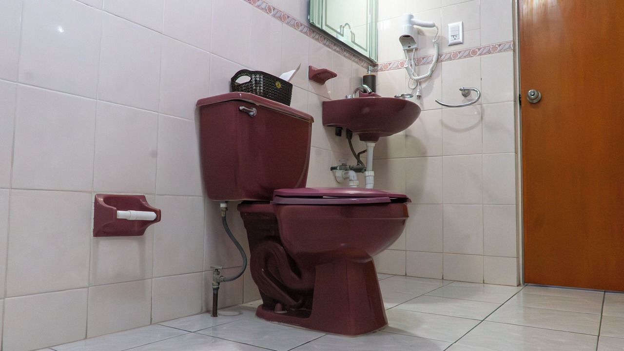 Photo of Bathroom in San Luis Potosi