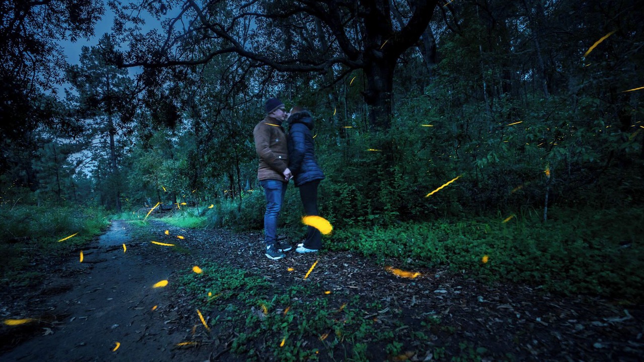 Photo of Outdoor in Tlaxcala