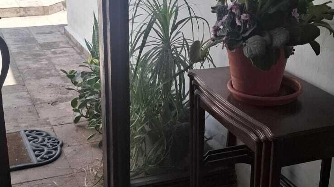Photo of Others in Zapopan