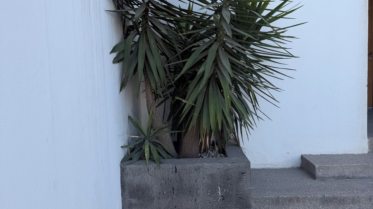 Photo of Outdoor in San Luis Potosi