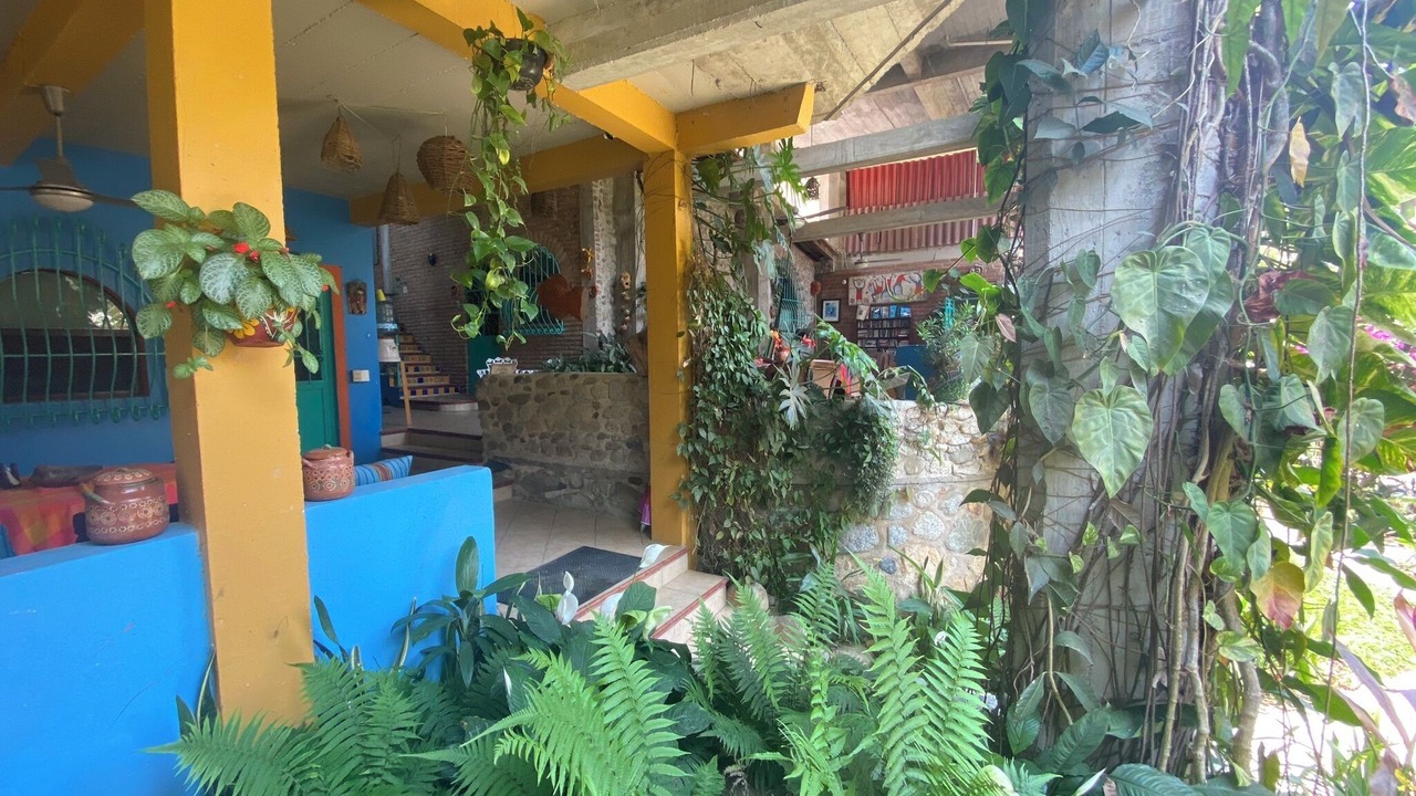 Photo of Outdoor in Boca de Tomatlan