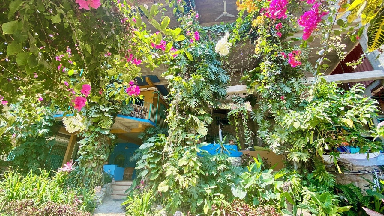 Photo of Outdoor in Boca de Tomatlan