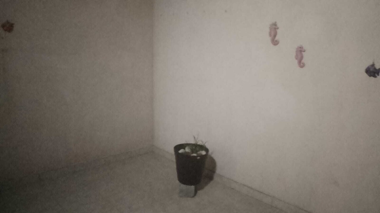 Photo of Others in Torreon