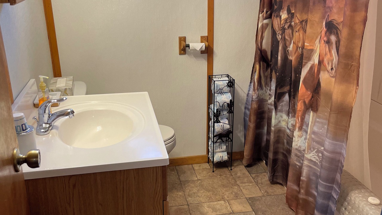 Photo of Bathroom in Winston