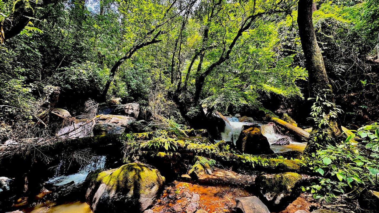 Photo of Others in Valle de Bravo