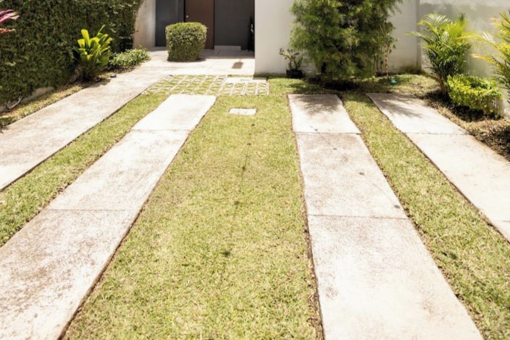Photo of Outdoor in Zona 16
