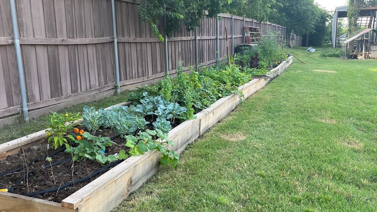 Photo of Outdoor in Keller