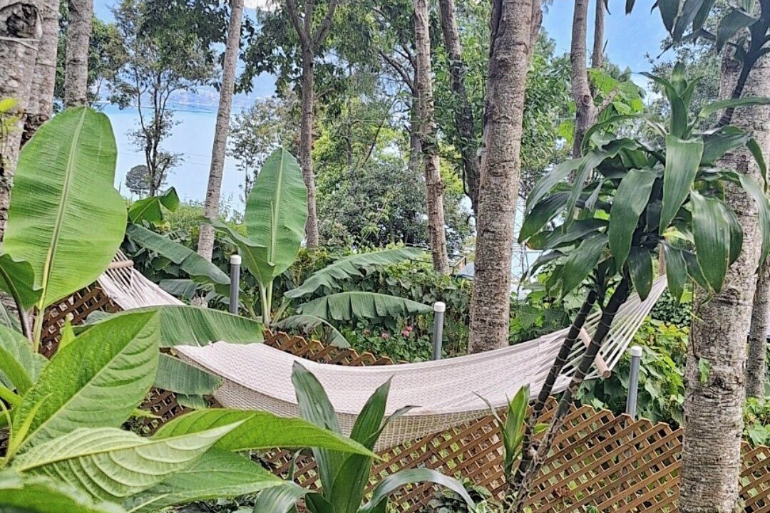Photo of Outdoor in Jaibalito