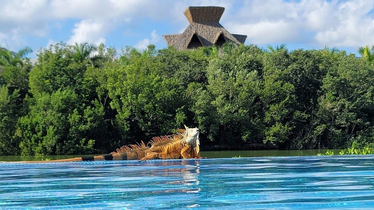 Photo of Outdoor in Nuevo Vallarta