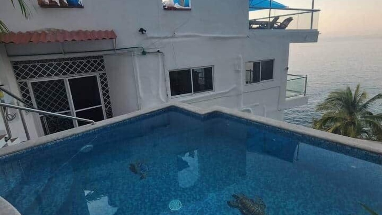 Photo of Outdoor in Boca de Tomatlan