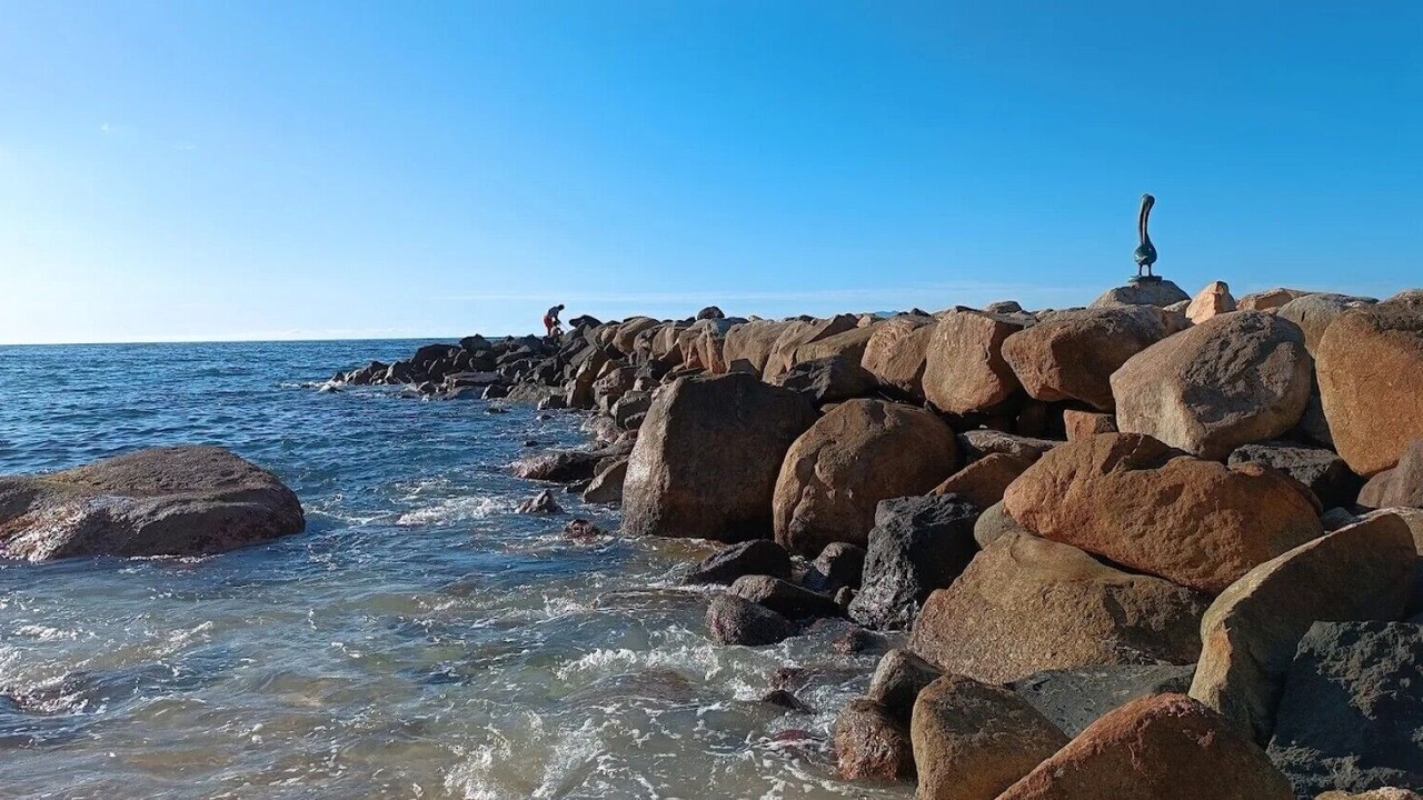 Photo of Others in Puerto Vallarta