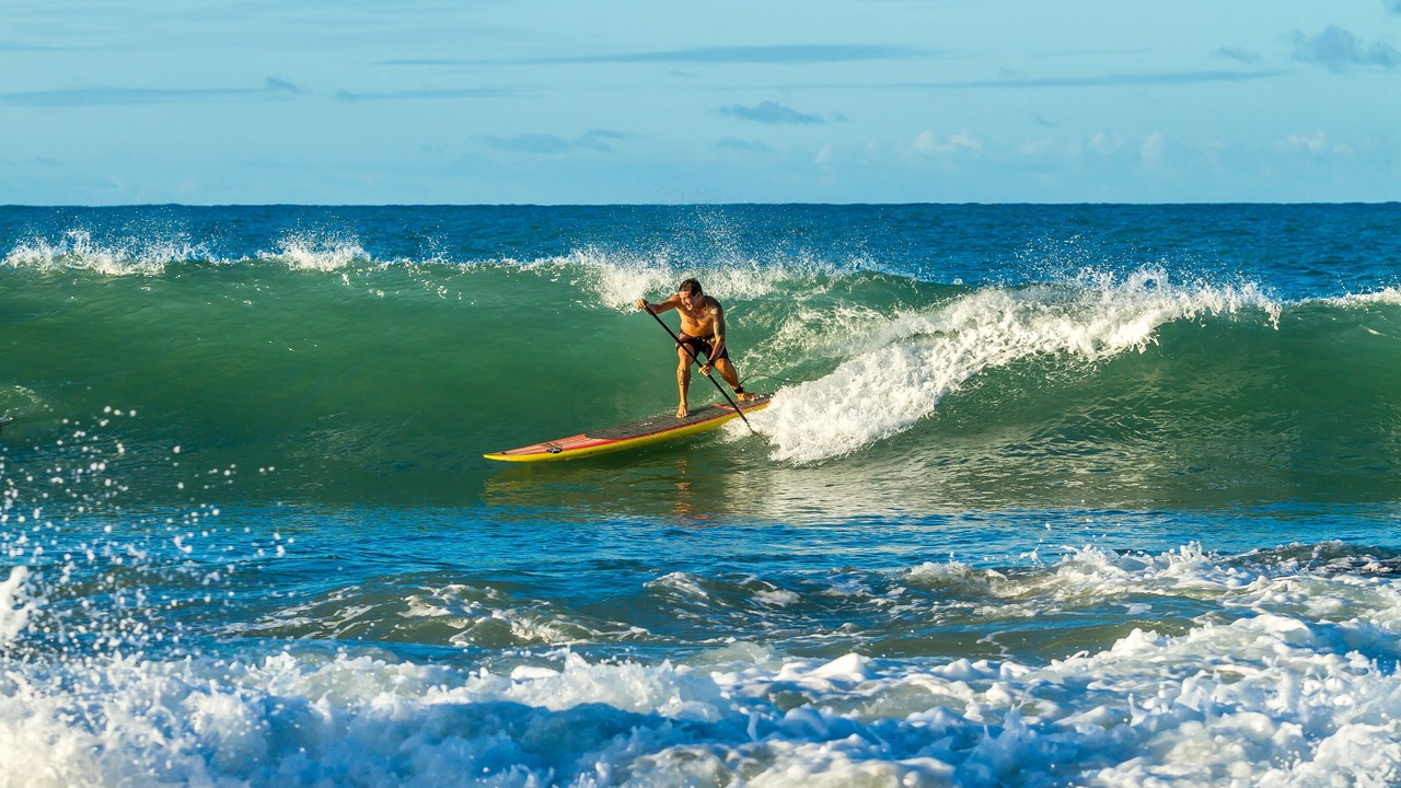 Photo of Others in Troncones