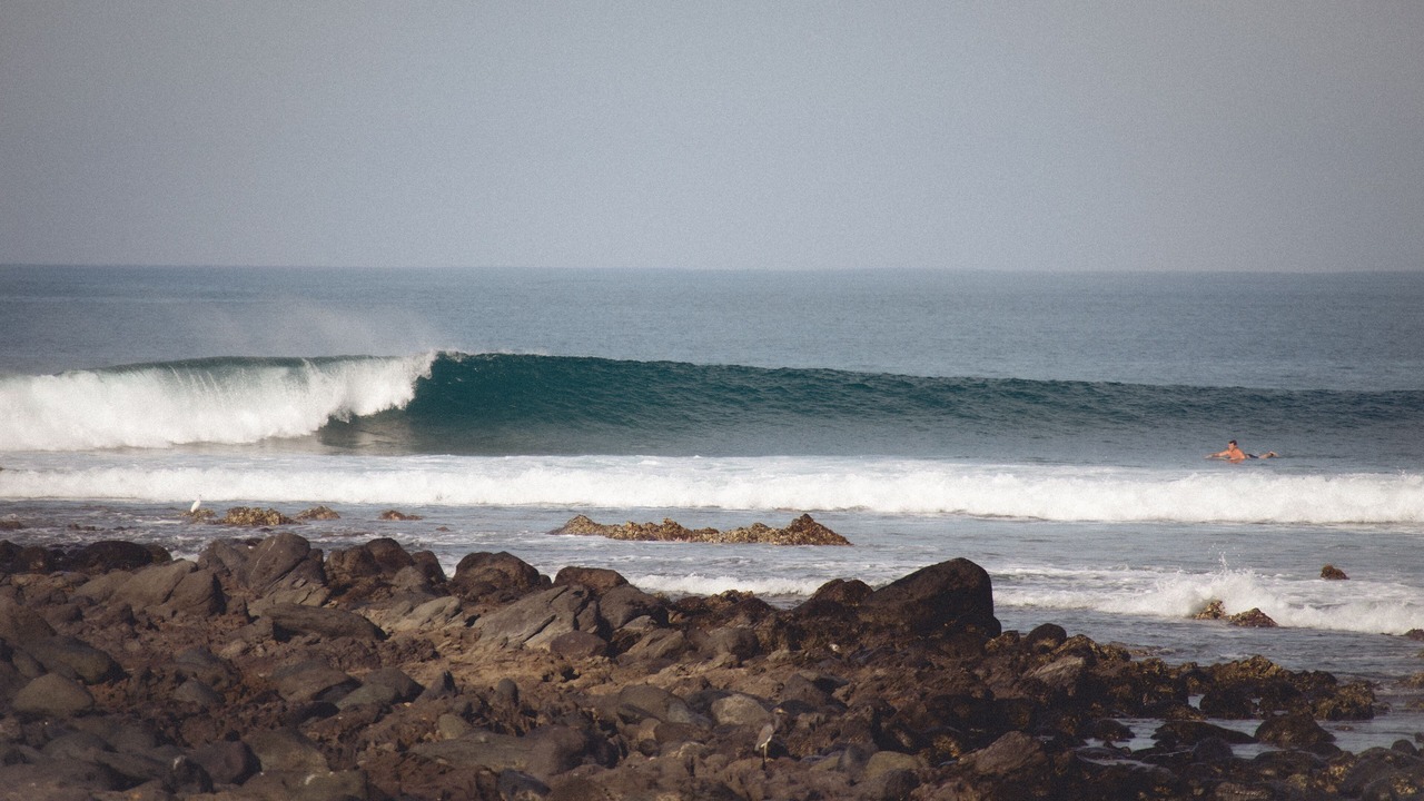 Photo of Others in Troncones