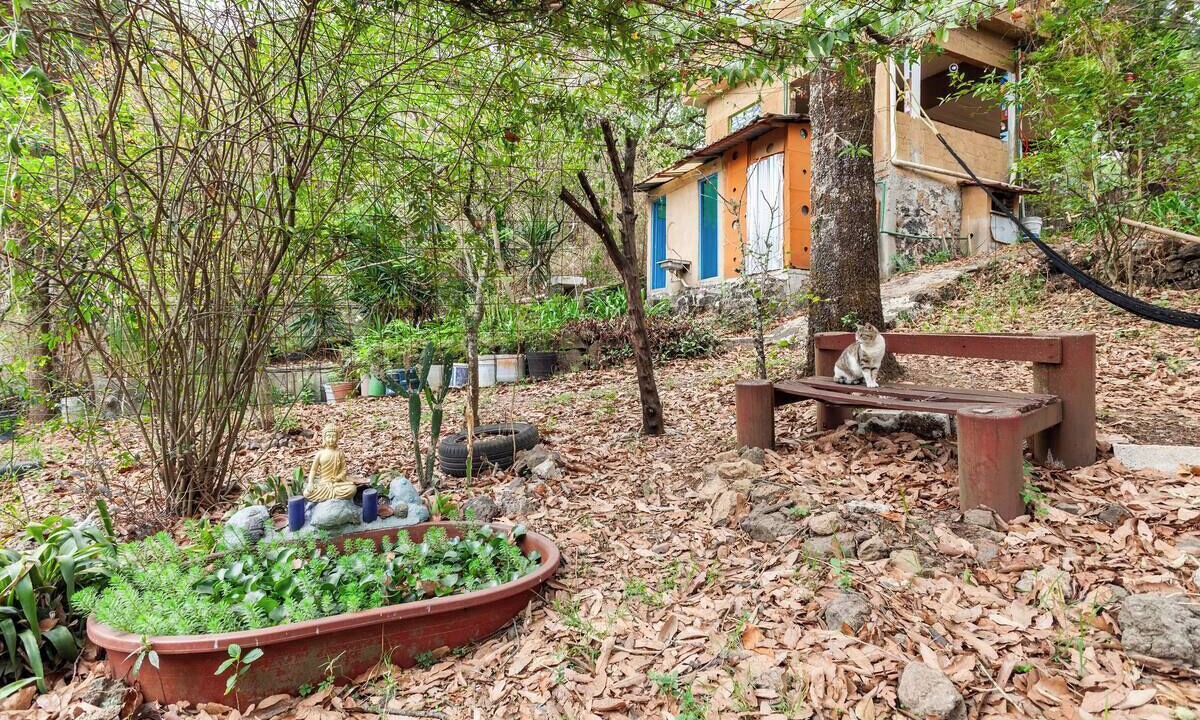 Photo of Outdoor in Tepoztlan