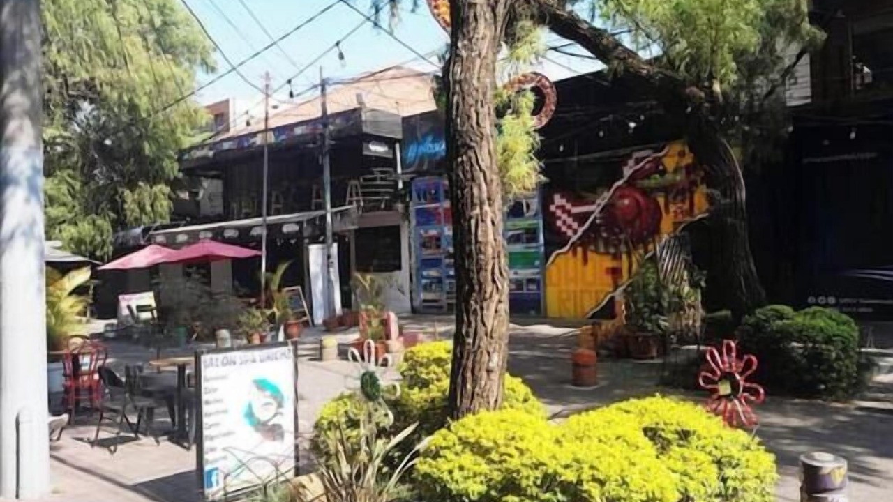 Photo of Others in Zona 4
