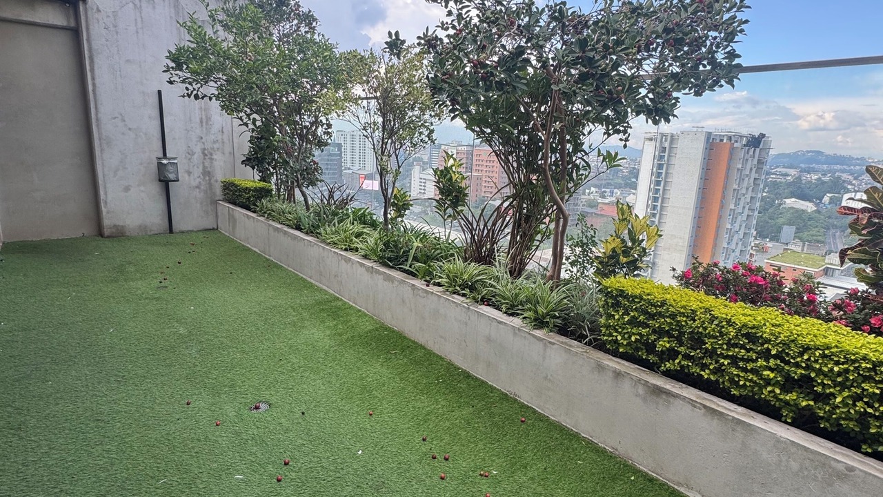 Photo of Outdoor in Zona 4