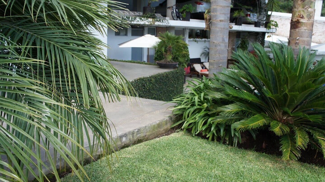 Photo of Outdoor in Cuernavaca