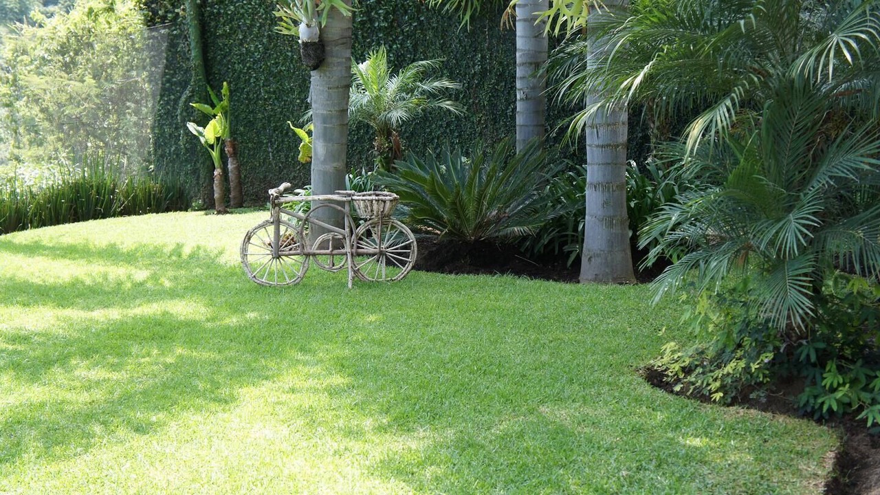 Photo of Outdoor in Cuernavaca