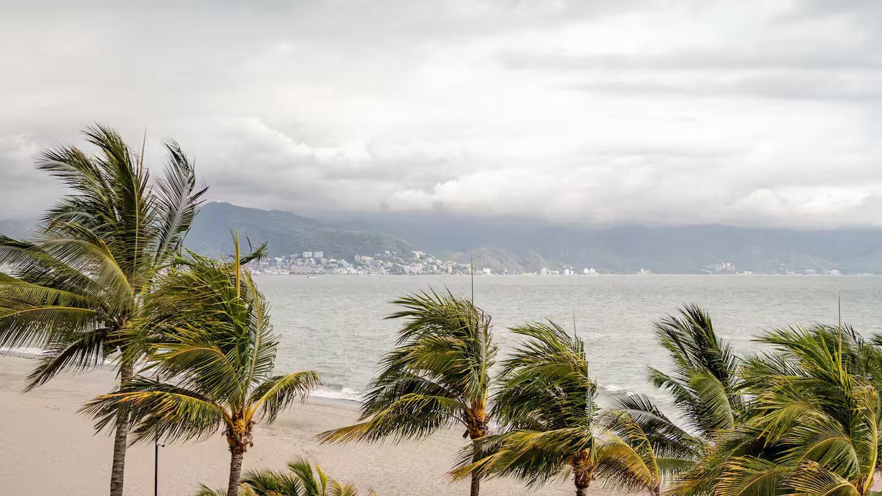Photo of Others in Marina Vallarta