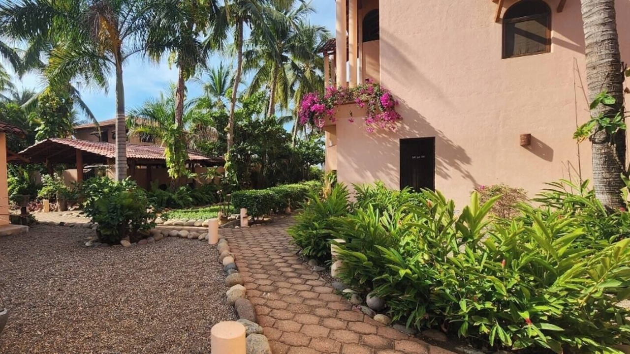Photo of Outdoor in Troncones